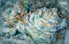 Dispensary